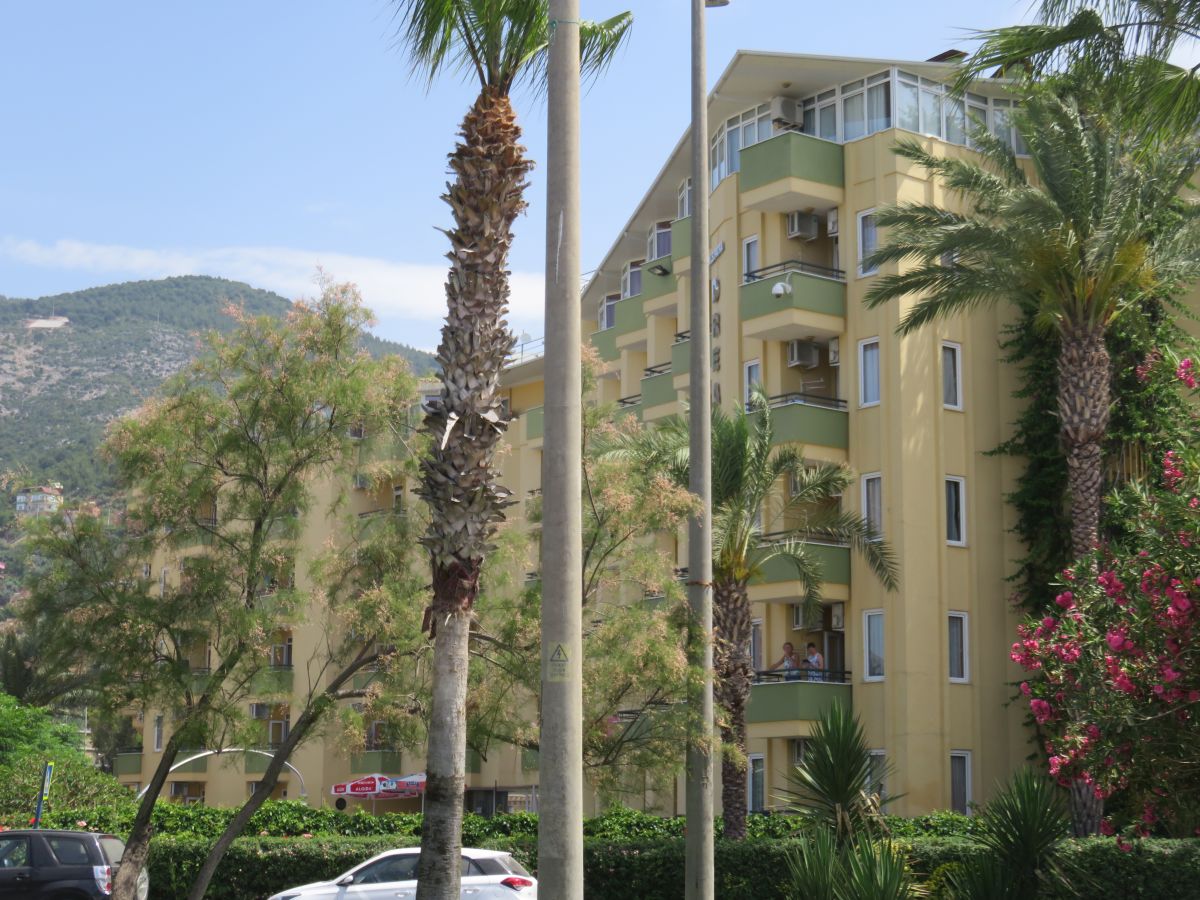 imagini hotel KLEOPATRA DREAMS BEACH